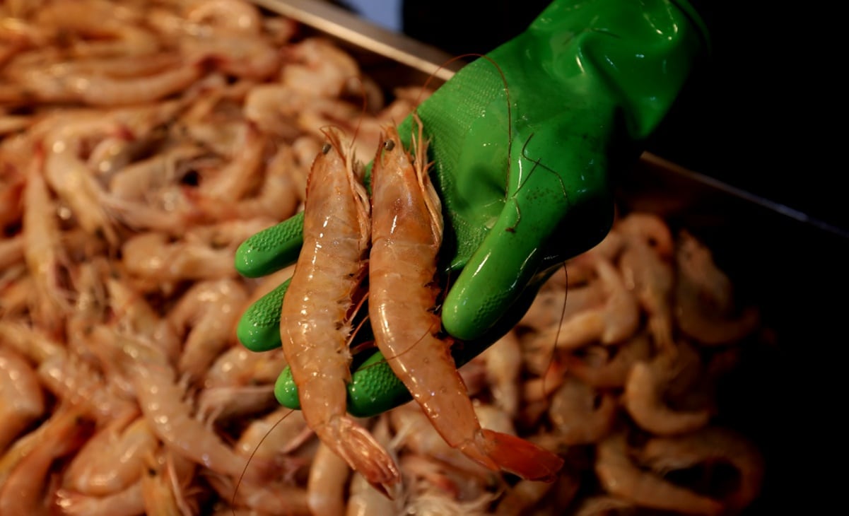 China suspende las importaciones de mariscos de Japón ante tensión bilateral