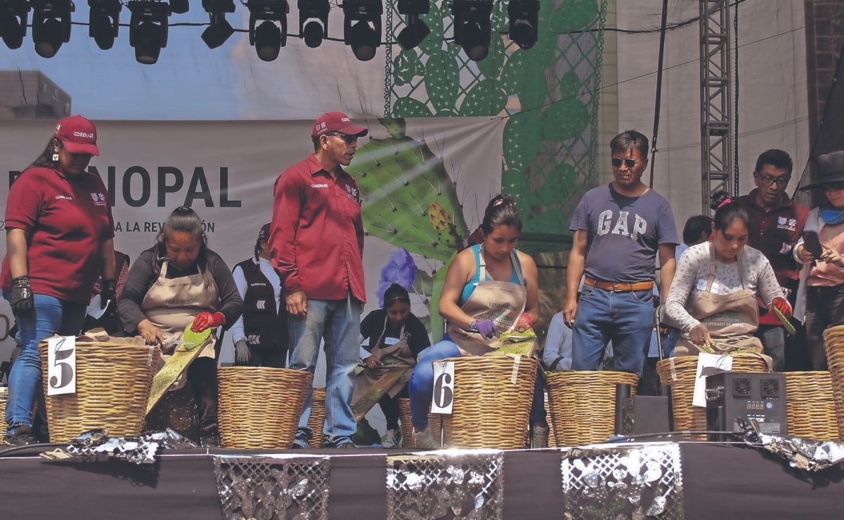 Las mujeres que habitan en Piedad Bonnett