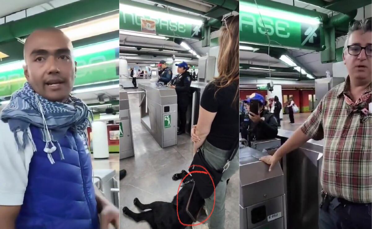 Perritos y gatitos, las víctimas colaterales de las redadas en Texas; son abandonadas en refugios o departamentos vacíos