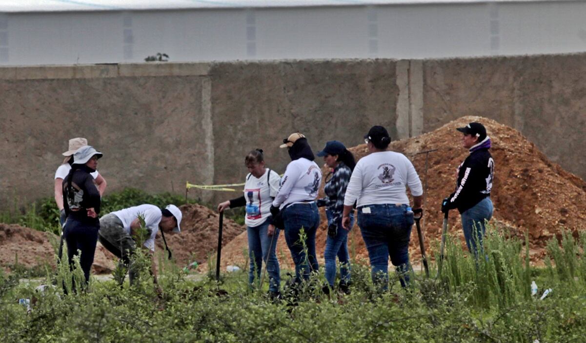 Caída de árbol provoca derrumbe de postes y deja sin luz a decenas de familias en colonia Postal; no hay lesionados