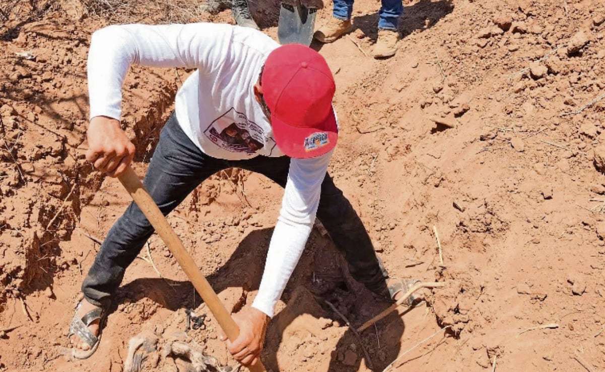 Cae en Colombia uno de los integrantes más buscados del Tren de Aragua; será extraditado