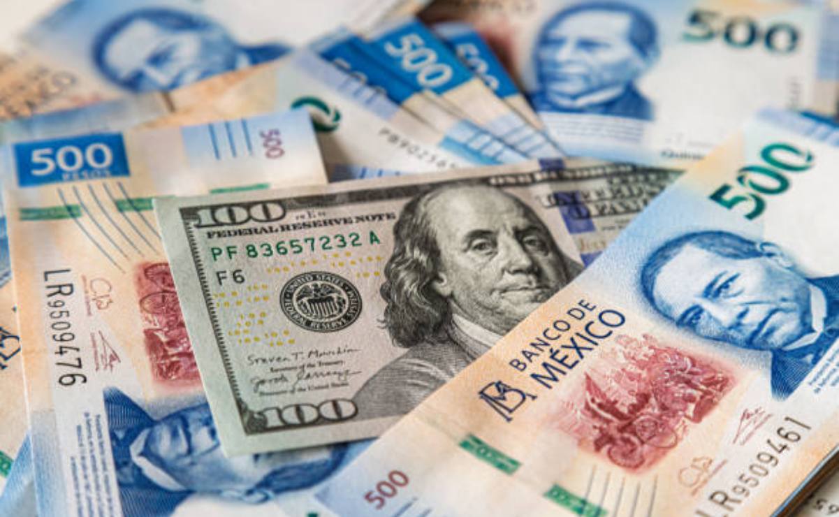 A la caza de los precios bajos en regreso a clases