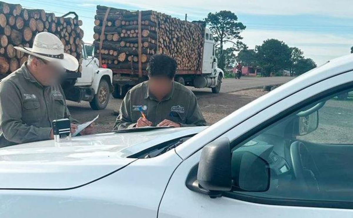Ley seca en Tlalpan por cinco días; medida afecta comercios y ferias de la colonia AMSA