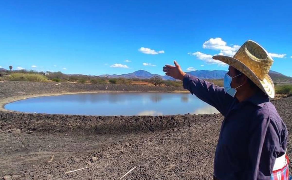 Sheinbaum rechaza entrega de puertos de Veracruz y Lázaro Cárdenas a empresa BlackRock; los administra la Marina, afirma
