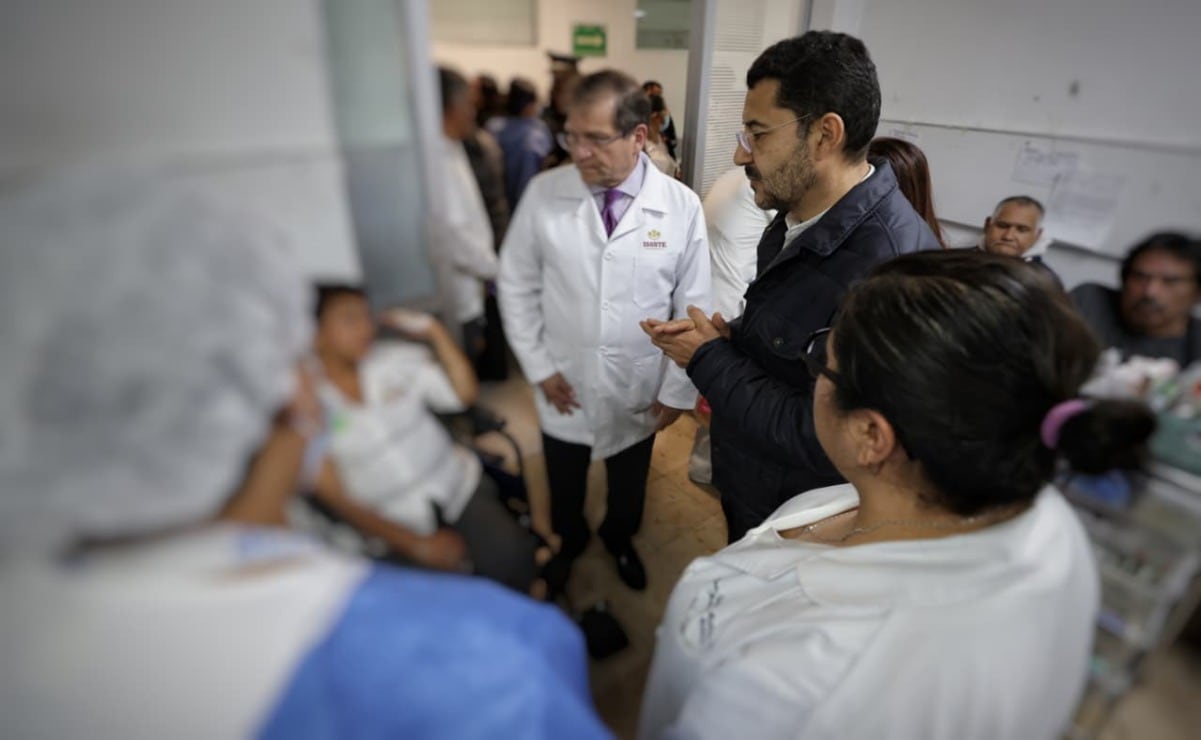 Profepa rescata a osa atrapada en un pino en Sonora; permaneció más de 36 horas arriba