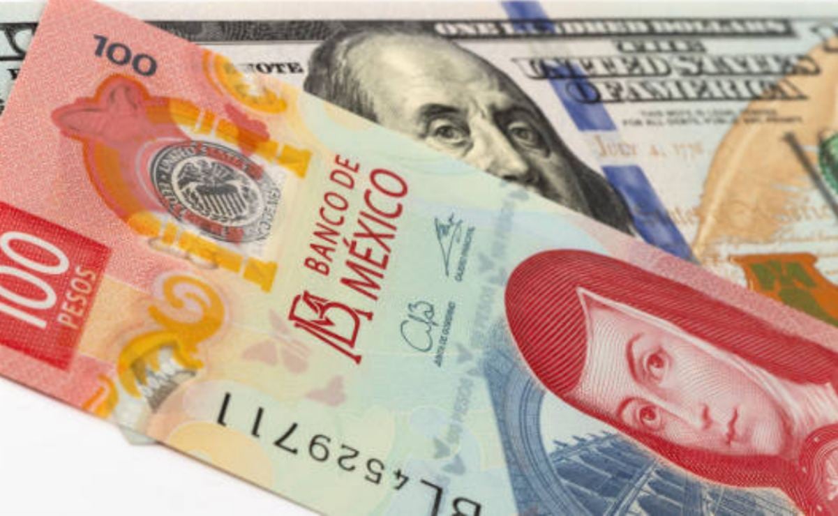 ¿Cuándo y dónde llegará 