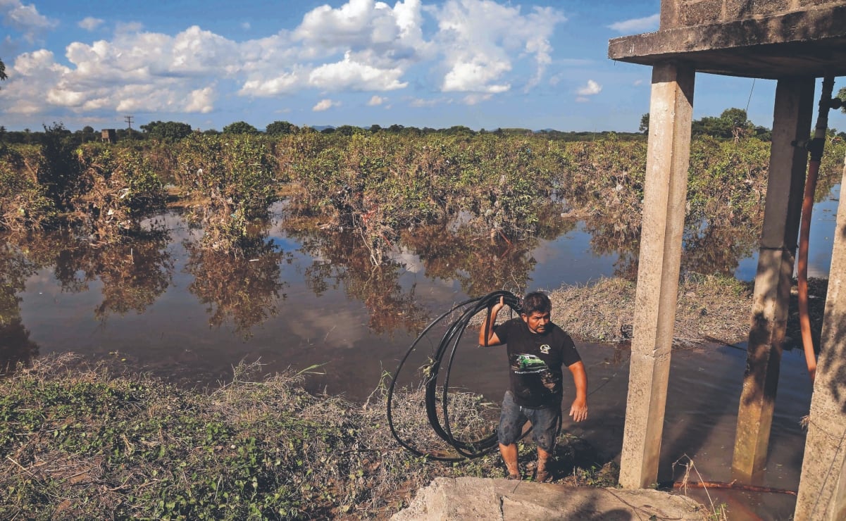 Destruyen 33 artefactos explosivos usados por el crimen organizado en Moris, Chihuahua  