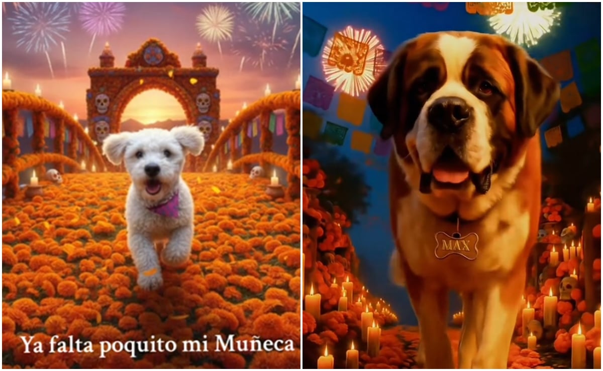 Martes de Frescura en Walmart: estas son las ofertas irresistibles de hoy, 21 de octubre 