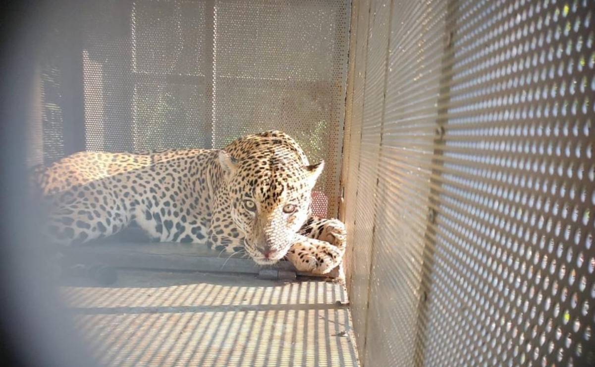 Cae camión en socavón en Azcapotzalco