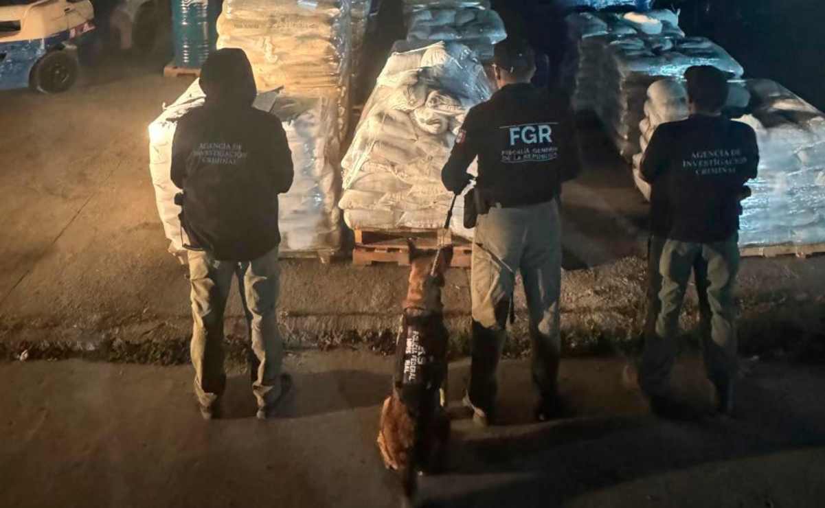 Ambientalistas piden a Sheinbaum frenar expansión de actividad petrolera; exigen conservación de especies marinas