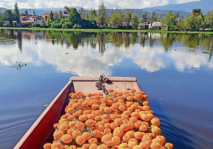 Estampida en un templo hindú deja al menos 9 muertos y decenas de heridos en India