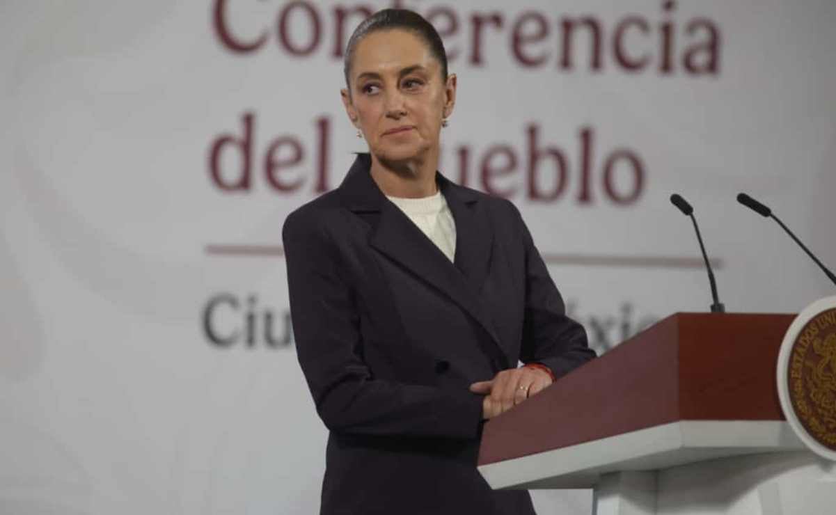 Inicia plan antiplagas por la importación de árboles