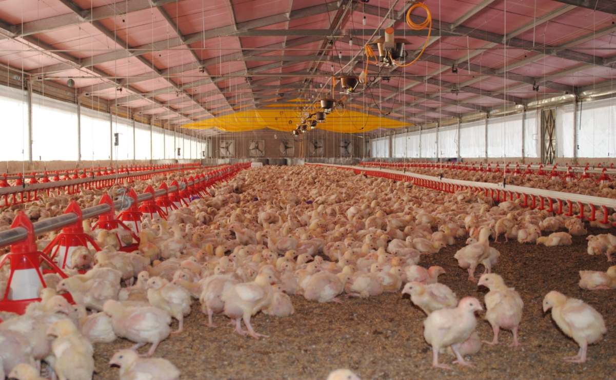 Localizan sano y salvo a hombre desaparecido hace 6 días en Culiacán 