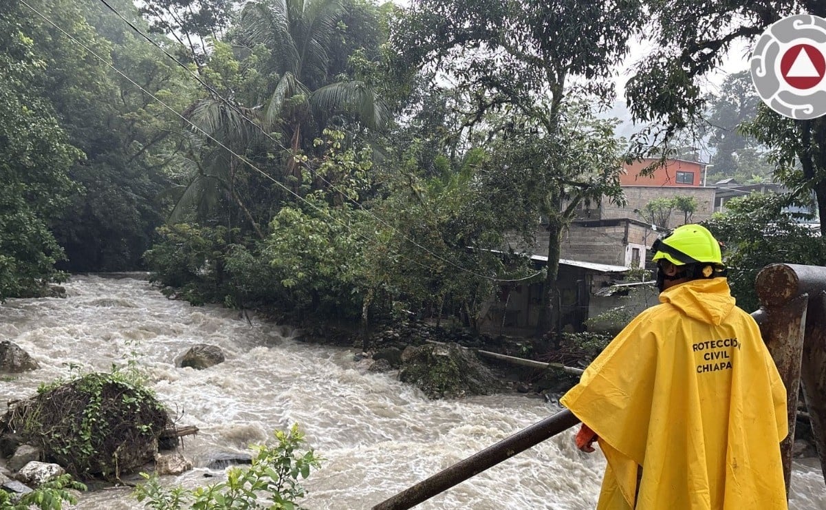Una estrategia para cada federación, el gran reto