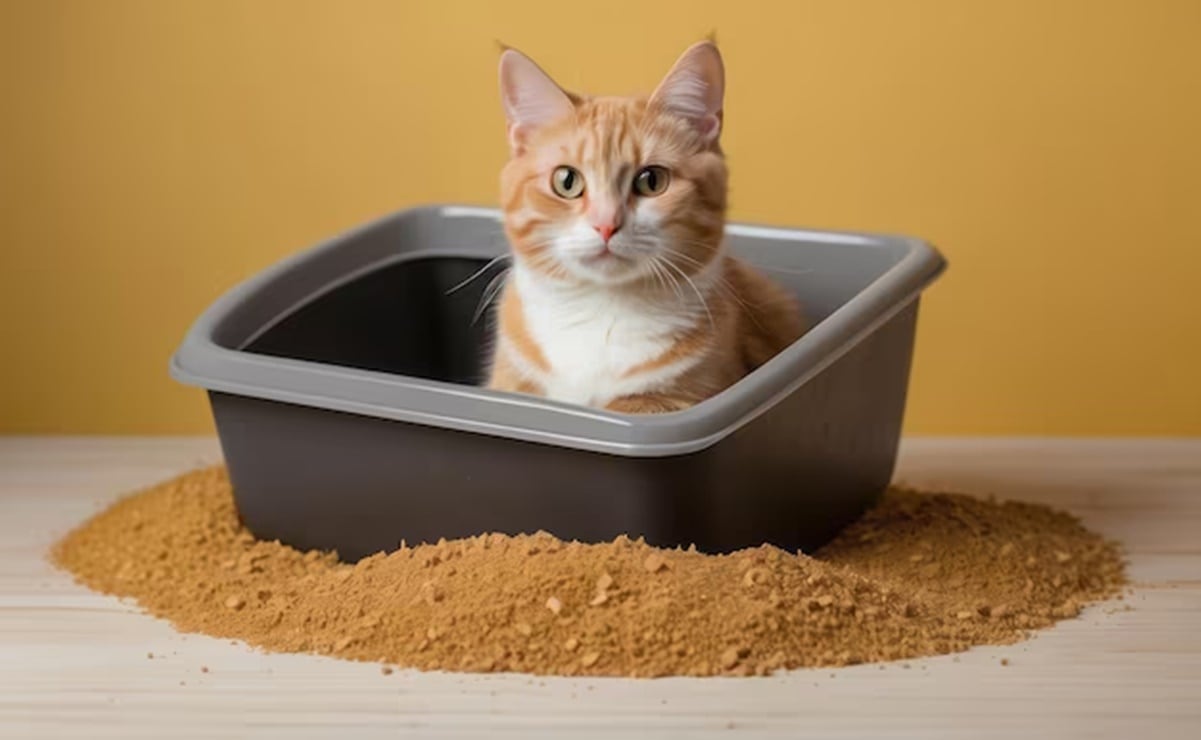 Extorsión tiene de rodillas a los empresarios de México, acusa Coparmex; estrangula economía por falta de Estado, dice