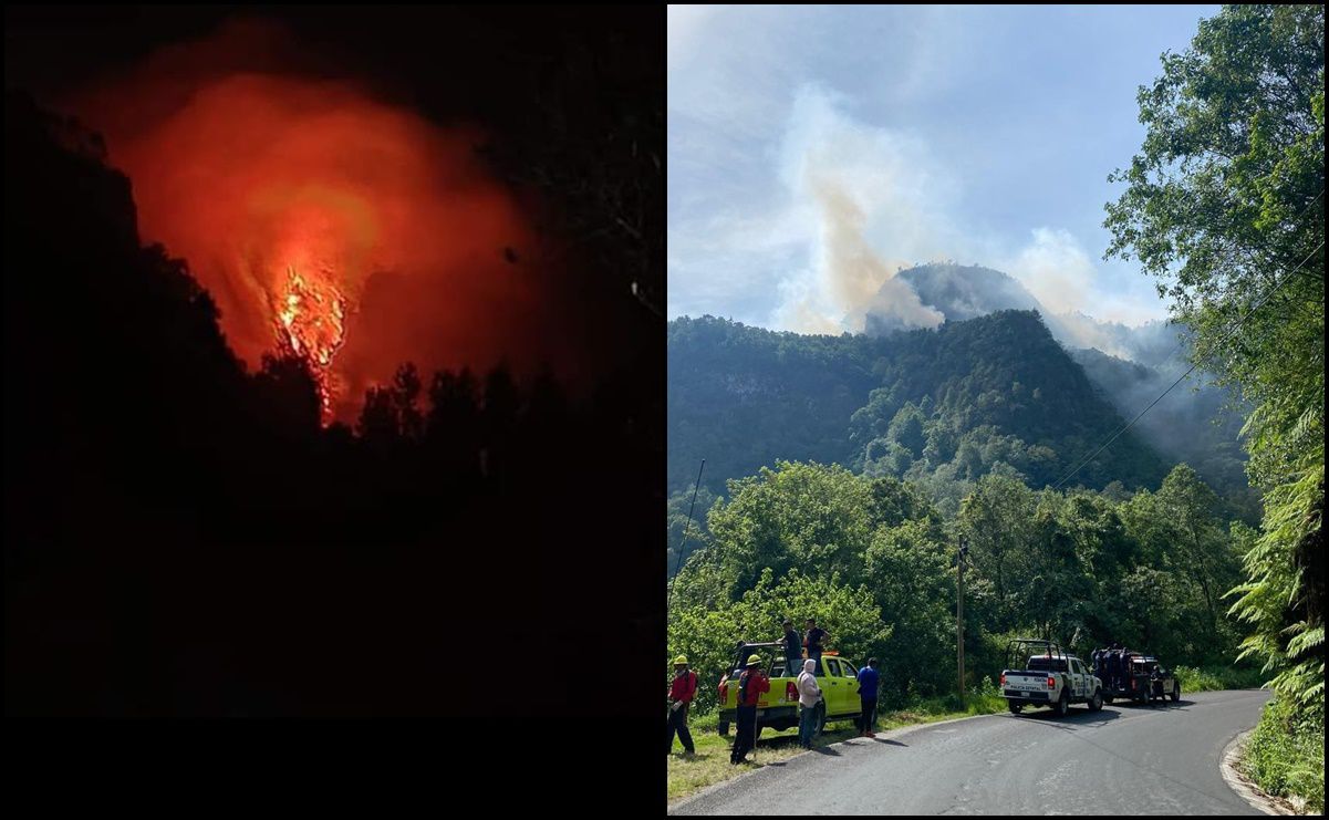 Incendio forestal en San Lucas Quiaviní, Oaxaca es controlado al 90% y liquidado en un 50%