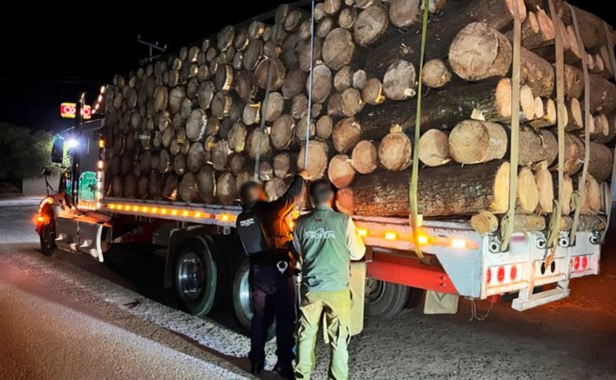 Realizan Procesión del Silencio en San Luis Potosí; la historia y el camino de fe del costalero Jorge Camarillo Reyes