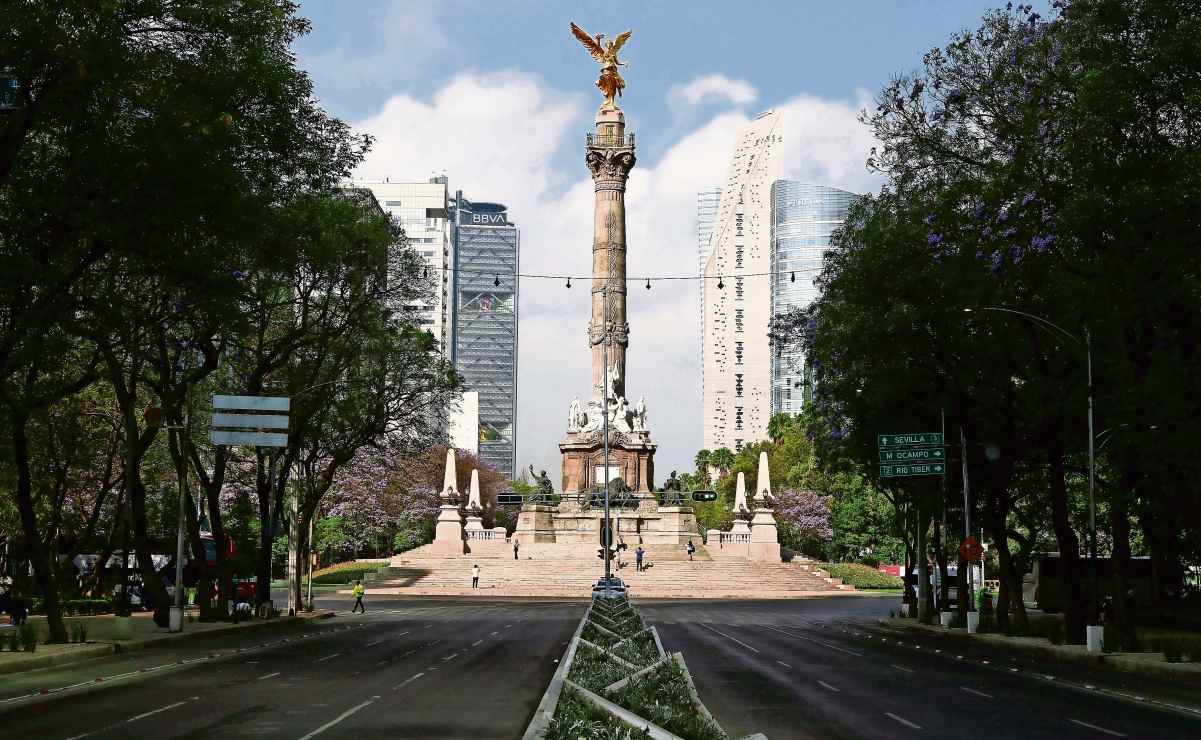 Bajan solicitudes de información presentadas al Info CDMX; reportan descenso de 34% desde 2019 a 2024