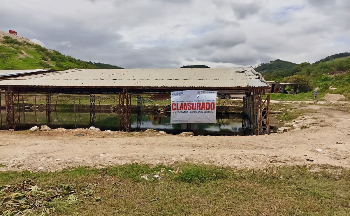 FOTOS: Las 10 frases de la mañanera de Claudia Sheinbaum del 27 de junio de 2025