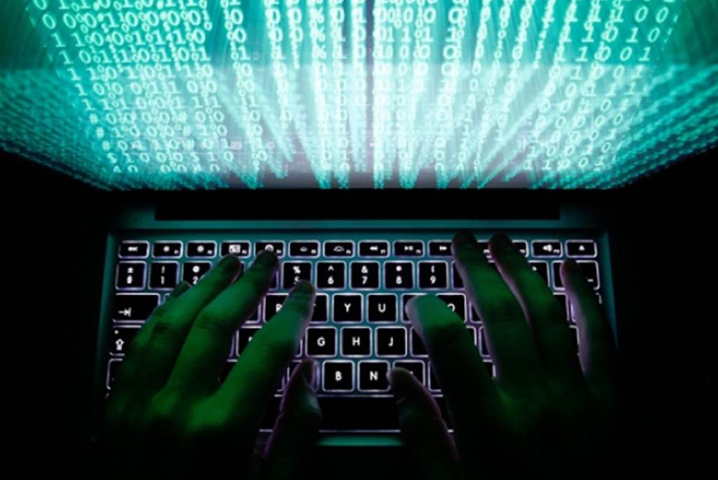 Detectan 7 nuevos casos de gusano barrenador; autoridades aseguran que situación se encuentra controlada