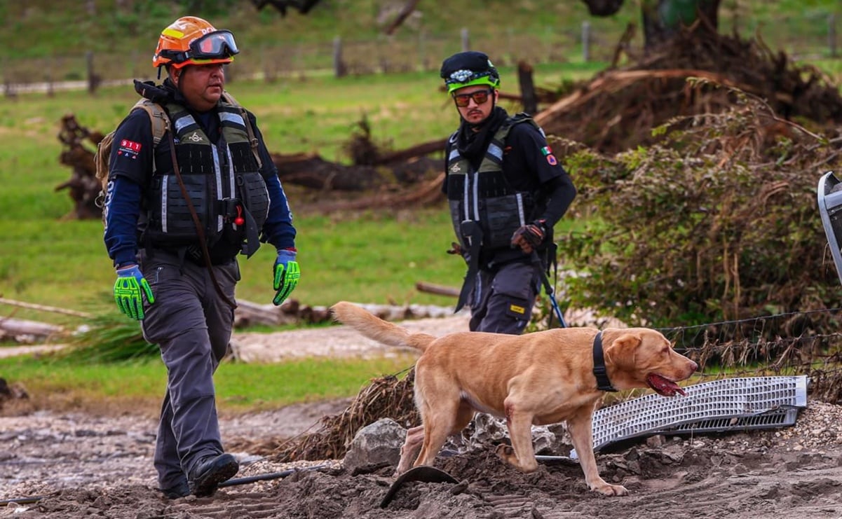 Denuncian al personal del Incifo por trato indigno