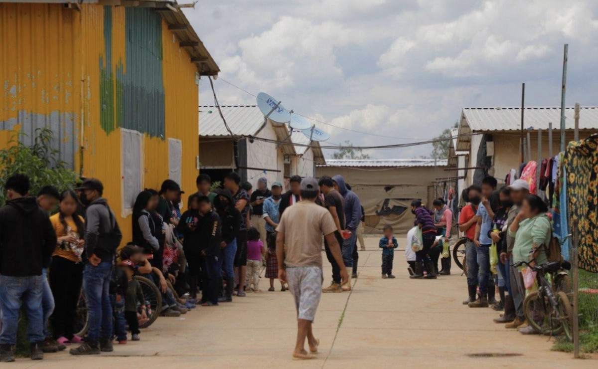 Se registra pelea campal durante bloqueo de campesinos en puente internacional en Reynosa; productores exigen un precio justo por sus cosechas 