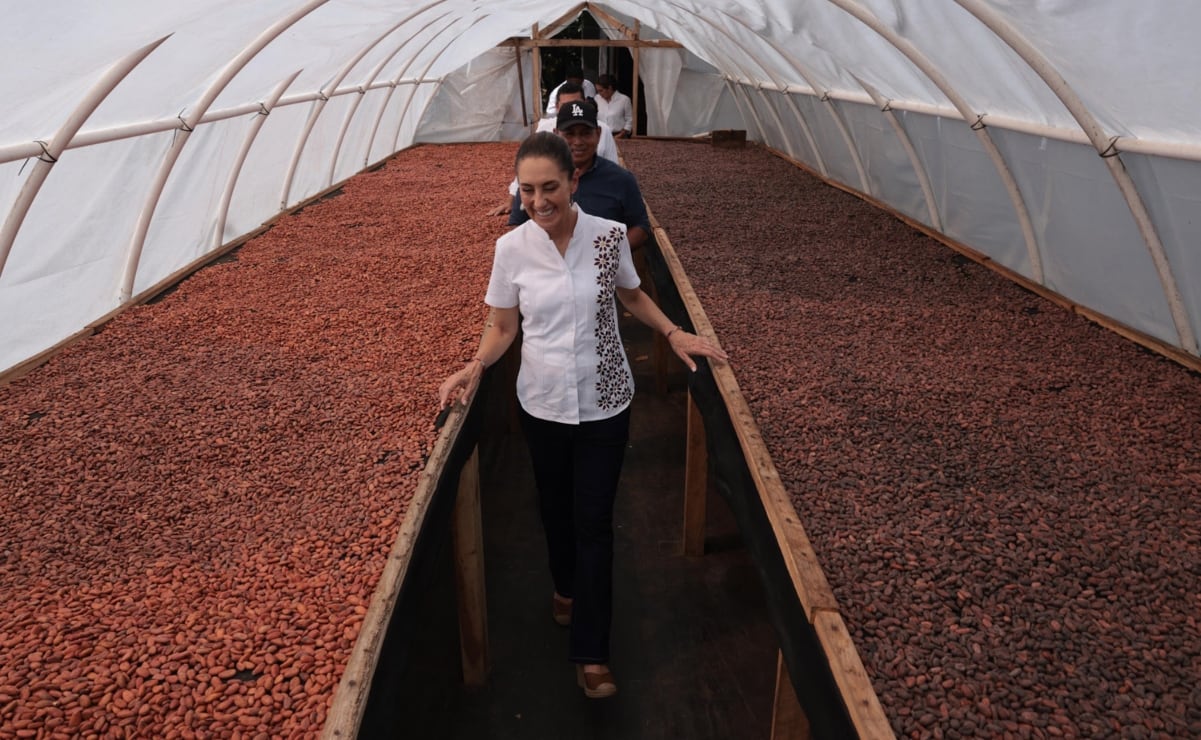 Clara Brugada presenta el proyecto  “Casa Ecológica” en Coyoacán; beneficiará a más de 73 mil viviendas de Santa Úrsula Coapa