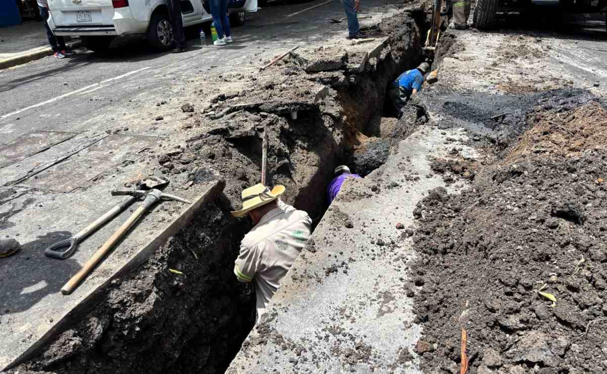 ¿Dónde ver capibaras en CDMX?; tres espacios para encontrarlos estas vacaciones
