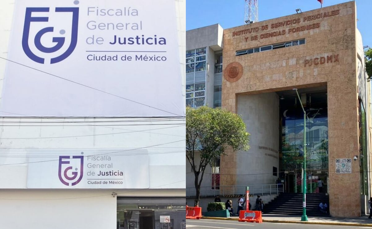 Profepa libera en Morelos a 24 reptiles y tlacuaches rescatados; pide entregar voluntariamente a especies vulnerables