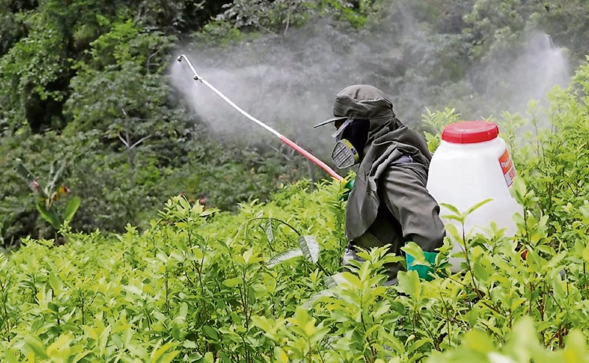 Prohíben uso de 35 plaguicidas; van por agricultura más segura