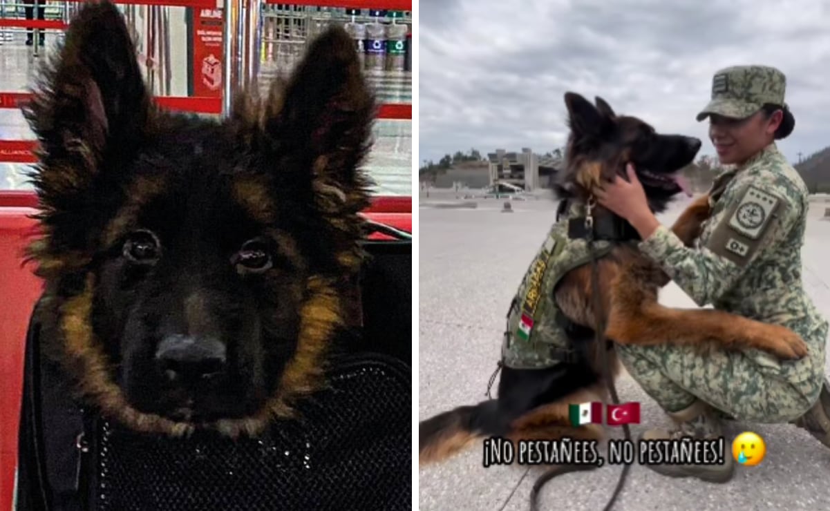 Enfrentamiento entre hombres armados y policías en Culiacán deja un civil muerto y otro detenido