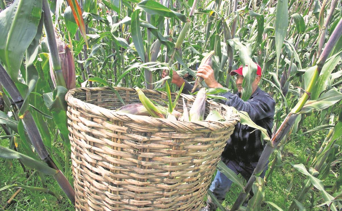 CCE celebra acciones contra huachicoleo por parte del gobierno federal