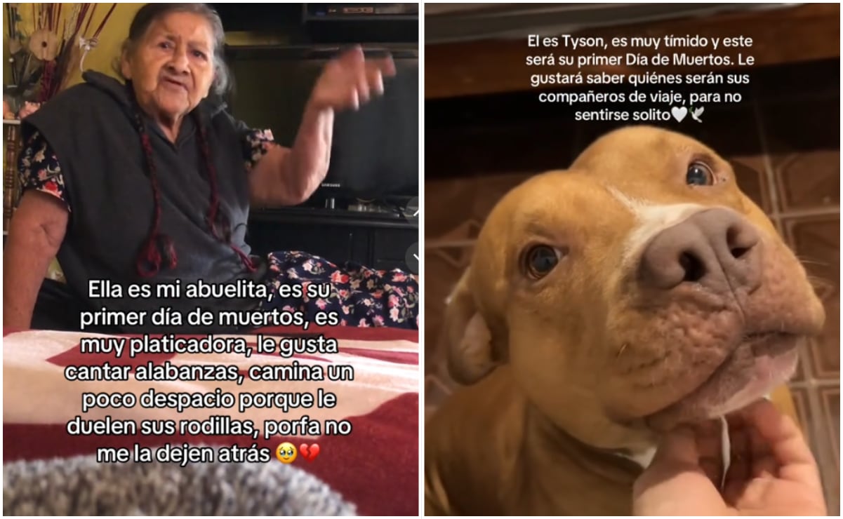 En Argentina hallan uno de los dinosaurios más antiguos del mundo