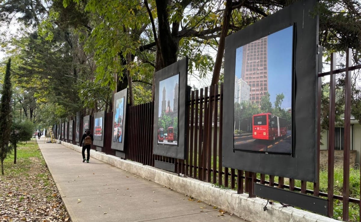 Barra Mexicana de Abogados expresa preocupación por Ley de Amparo; advierte vulneración de derechos