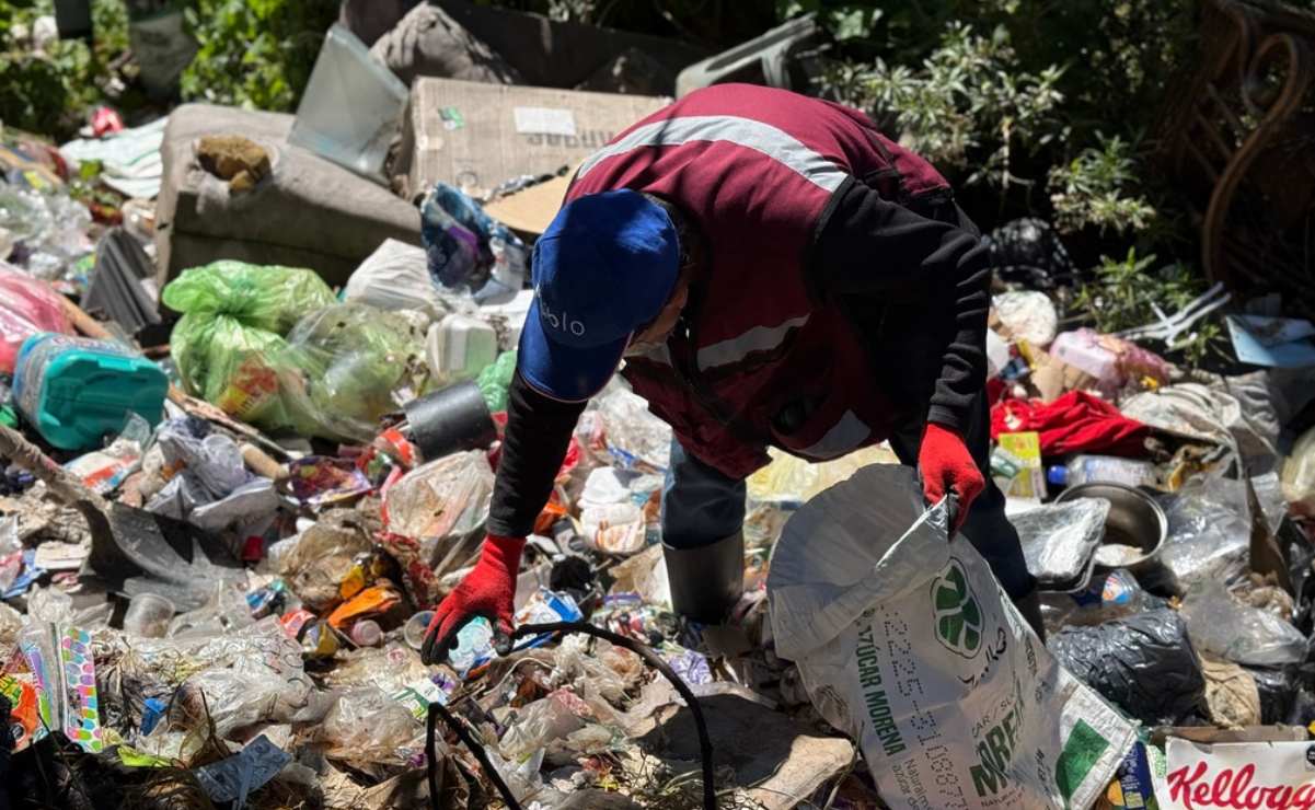Corredor masivo tendrá 44 estaciones 