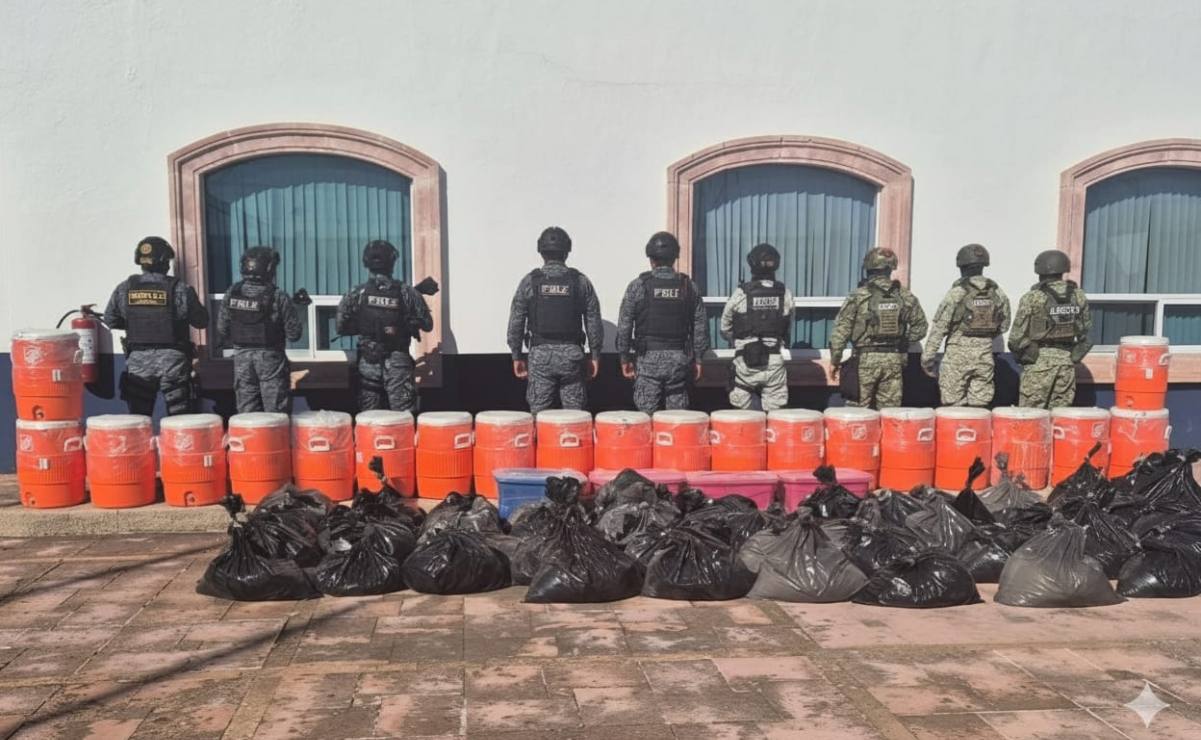 Cómo hacer un video de tu mascota regresando del Mictlán con IA