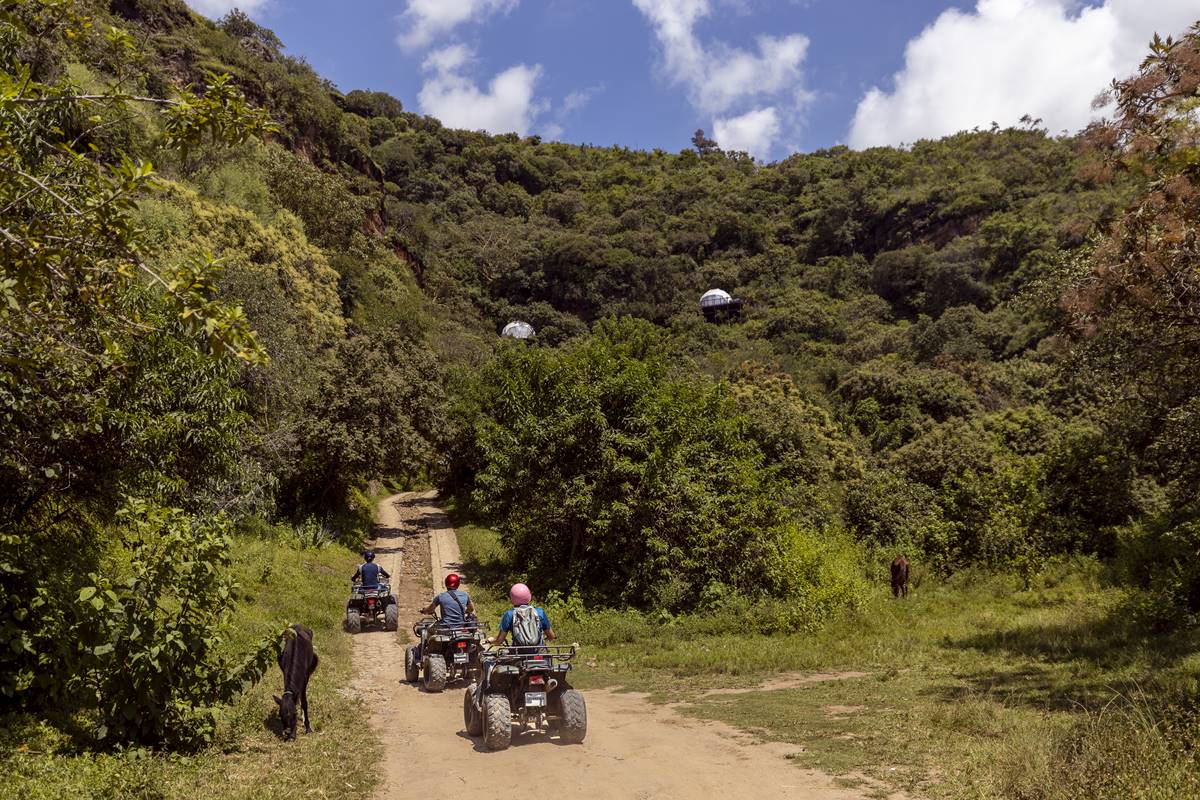 Nace el capítulo de auditores internos de México: Innovación, transparencia y liderazgo