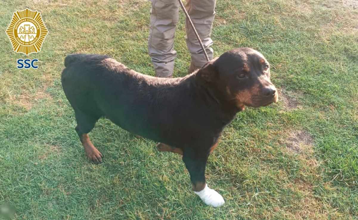 Bloqueo de campesinos en la autopista Arco Norte cumple casi 24 horas