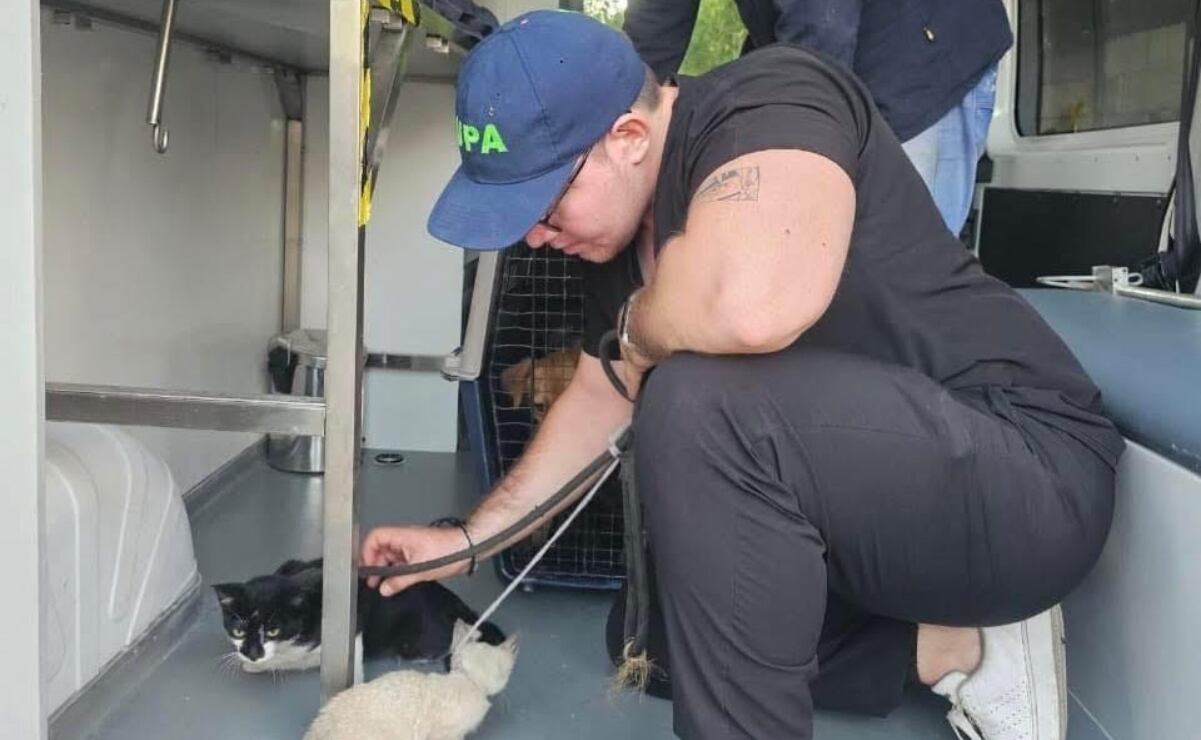 La invención de la calavera Garbancera y La Catrina