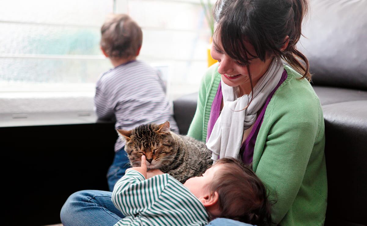 Empresas energéticas eólicas piden aprovechar inversiones ante rezago de México a nivel mundial