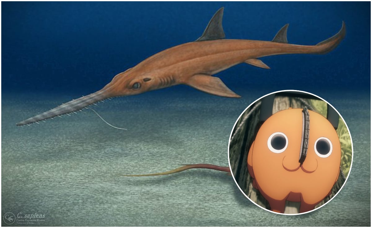 Robert De Niro y el Papa León XIV, criticados por reunirse en el Vaticano; afirman que comparten la misma postura sobre Trump