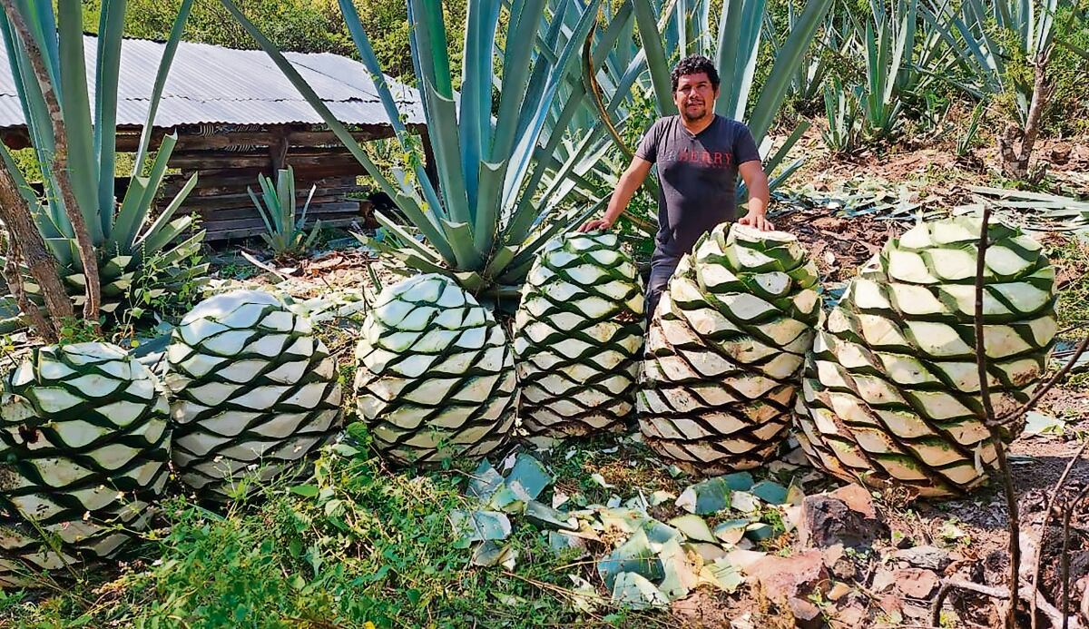 Álvaro Fidalgo debutaría con la Selección Mexicana antes del Mundial 2026