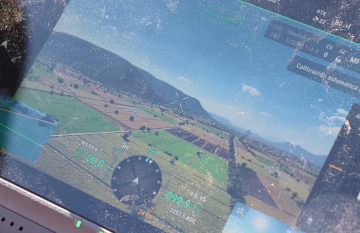 Sheinbaum reacciona a denuncia de Grupo Salinas por investigación a casas de juegos; busca actualizar ley en apuestas digitales