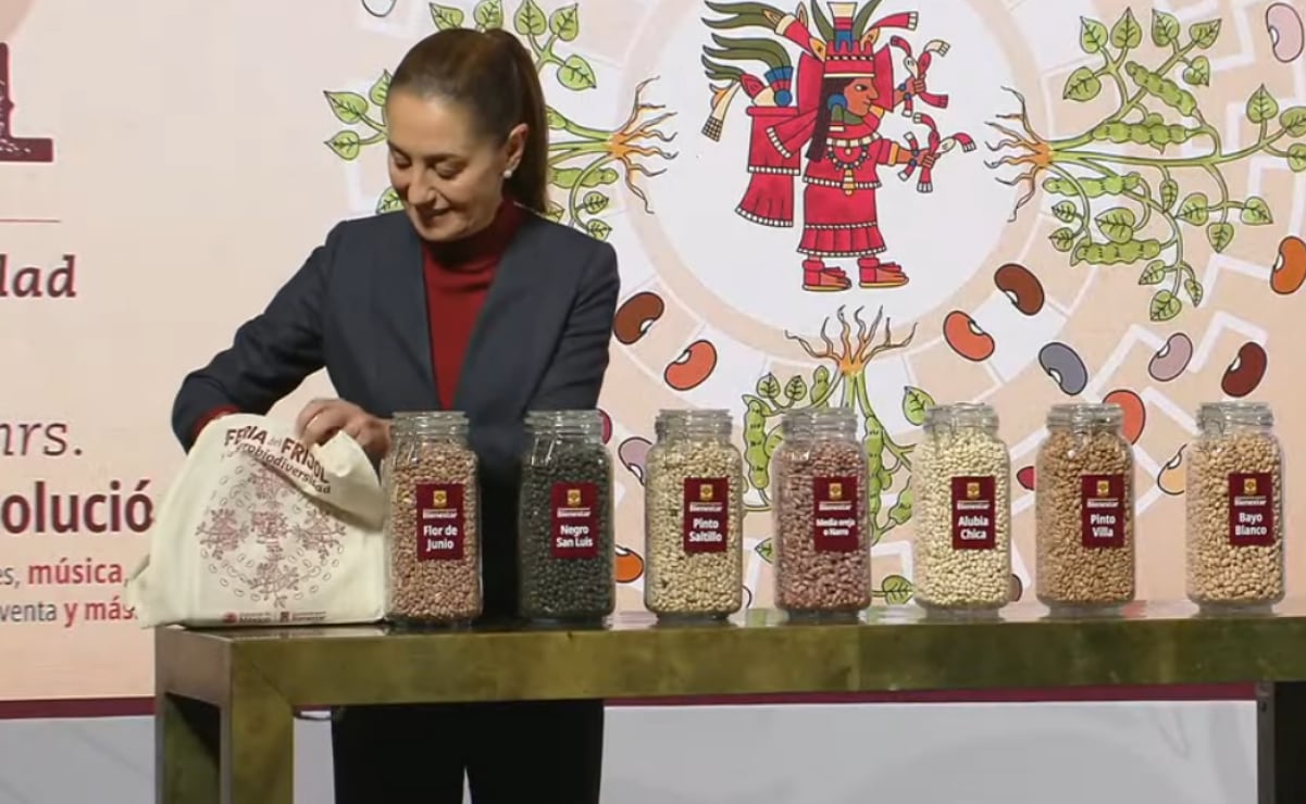 Presentan avances de apoyos para estados afectados