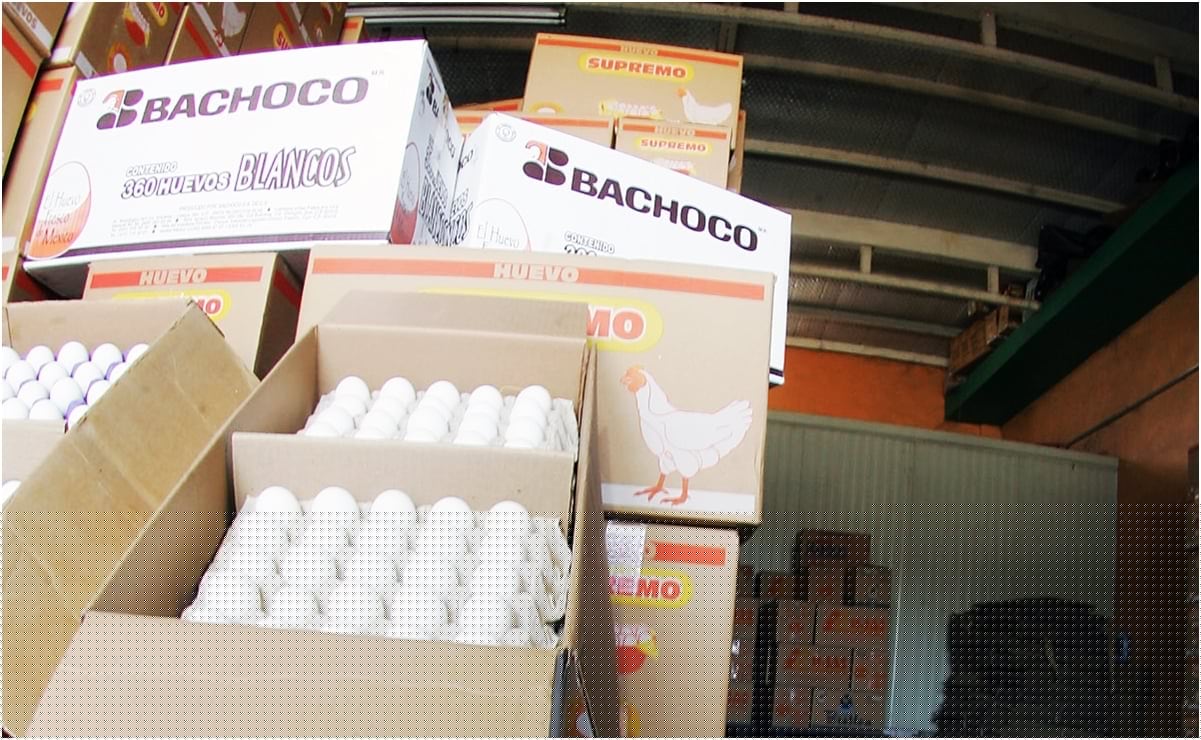 Daniel Radcliffe envía carta de apoyo al actor que interpretará a Harry Potter en la serie de HBO Max