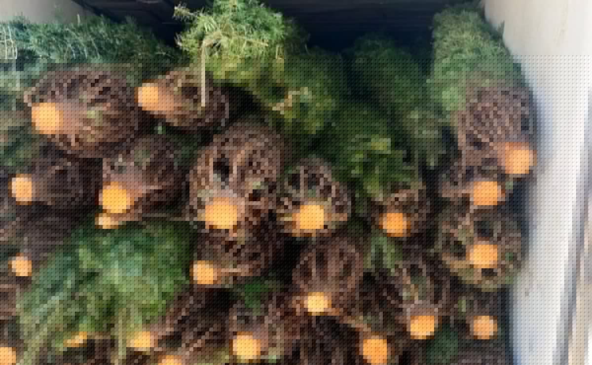 Detienen a presunto franelero; apartaba lugares y cobraba a automovilistas por estacionarse en inmediaciones del Hospital General