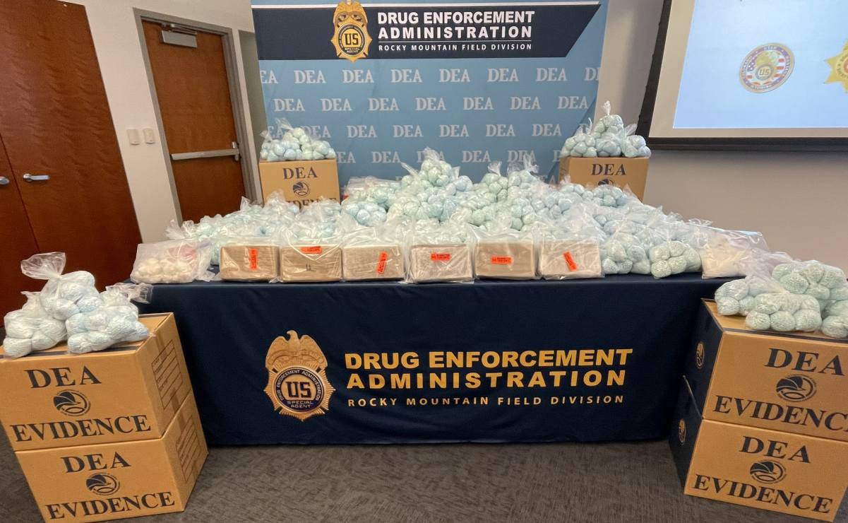 Inicia temporada de Nochebuenas 2025; Sedema CDMX impulsa producción y venta directa de casi 2 millones de plantas