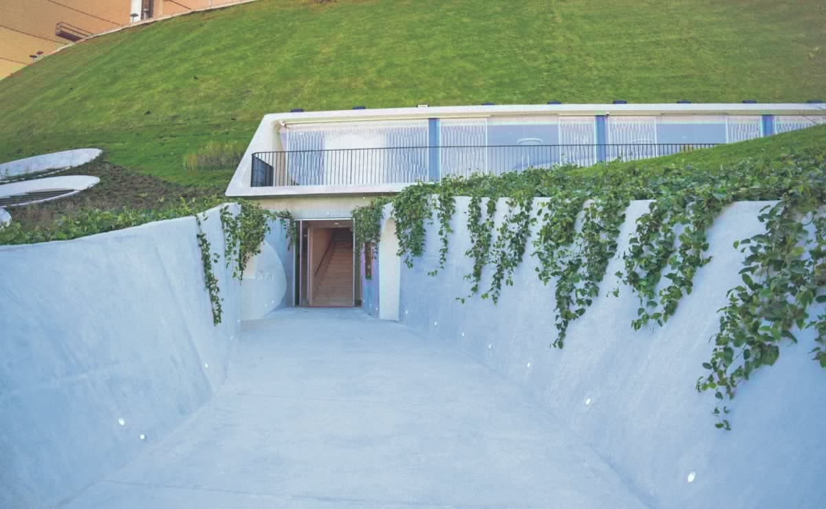 En dos décadas, violencia de pareja sólo disminuyó 0.2%