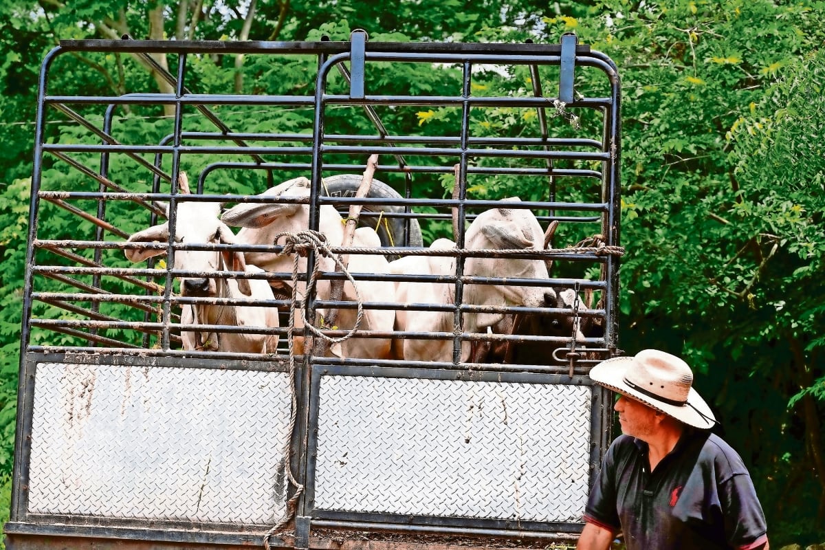 Paga la CDMX 23.6 mdp por daños a automóviles