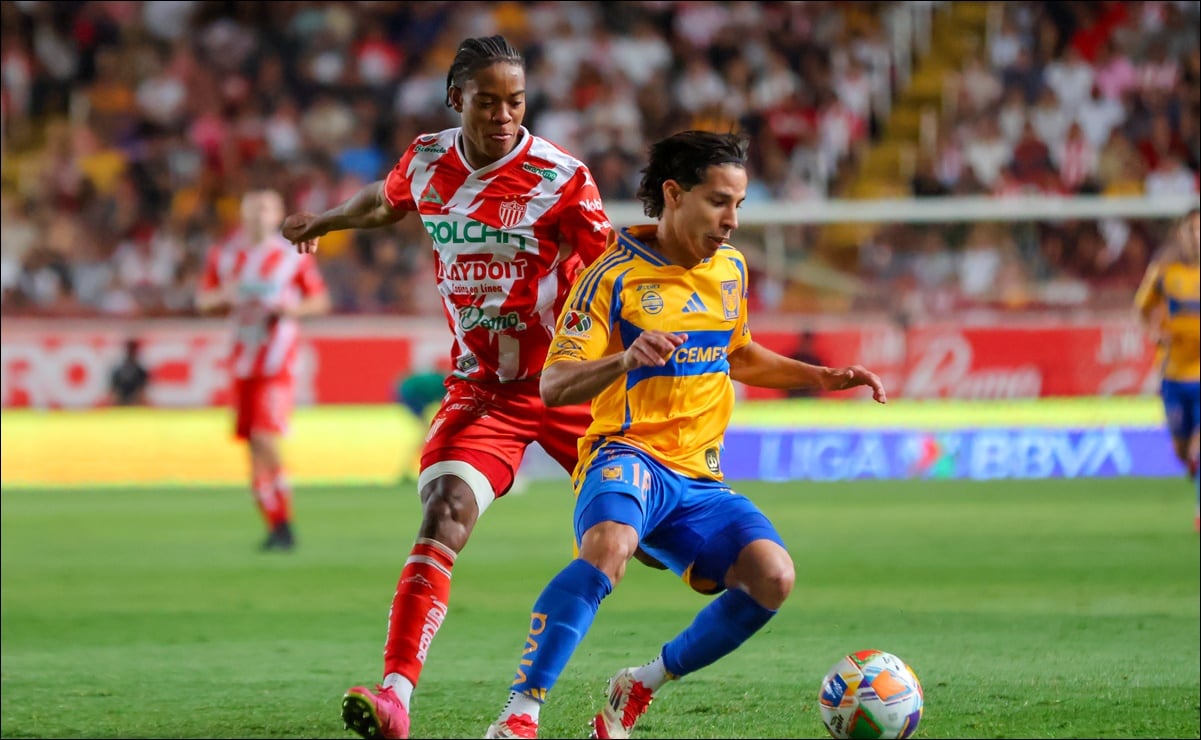 Gobierno de Milei impulsará ley anti “barras bravas” del fútbol; las acusará de ser asociación ilícita futbolística